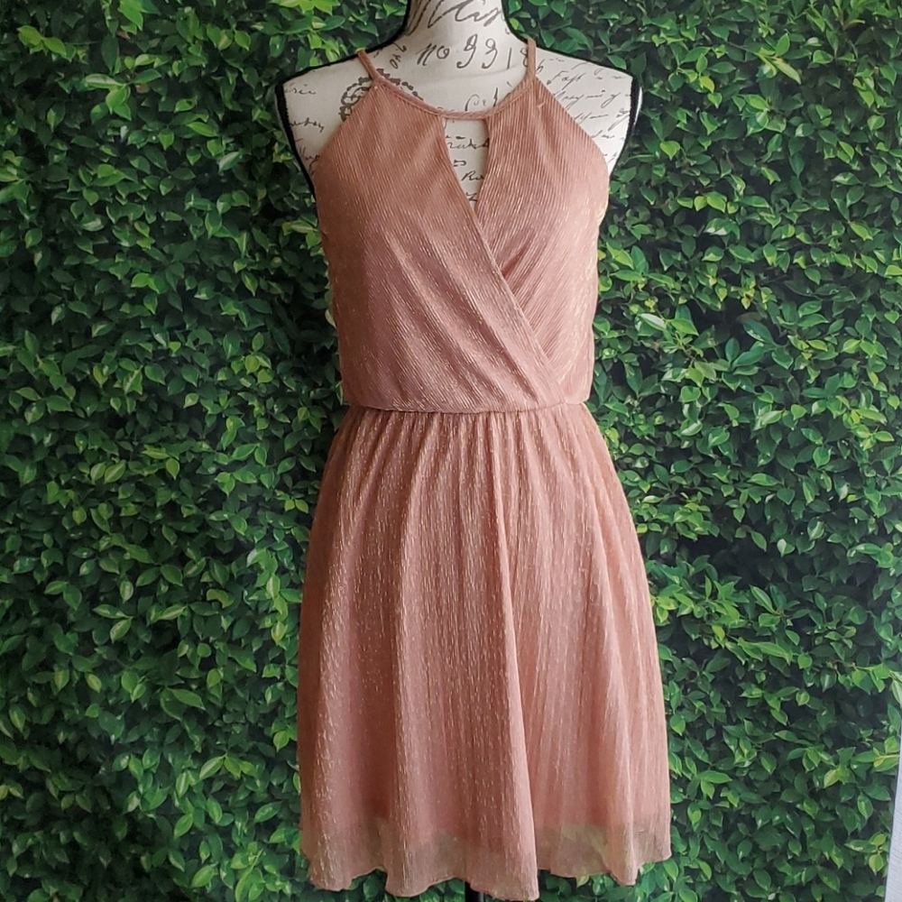 Small Charlotte Russe dress